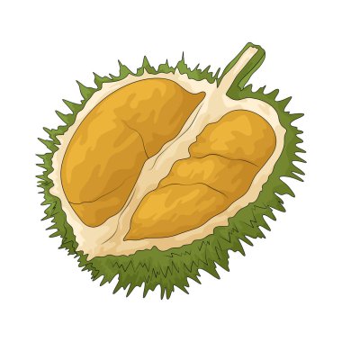 Durian, güçlü aroması ve kremaya benzeyen eti ile bilinen büyük bir tropikal meyvedir..