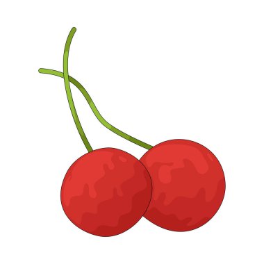 Tatlı kiraz, sulu kırmızı bir meyvedir. Zengin, şekerli bir tadı vardır..