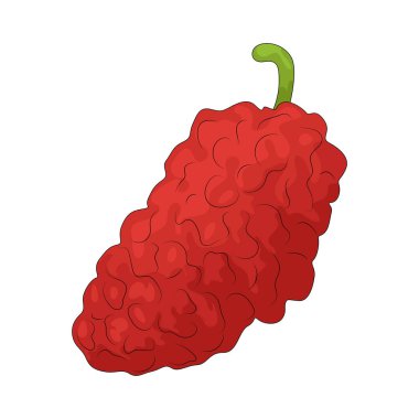 Kırmızı dut, sulu ve tatlı tadı olan kırmızı-mor bir duttur..