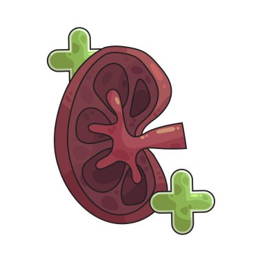 Böbrek atıkları ve kandaki fazla sıvıları filtreleyen bir organdır..