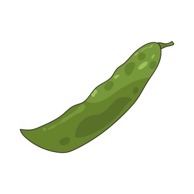 Lima fasulyesi düz, kremalı fasulye, genellikle çorba ve güveçte kullanılır..