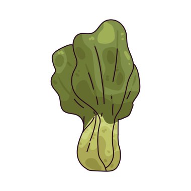 Bok choy yumuşak yaprakları ve gevrek sapları olan bir Çin lahanasıdır..