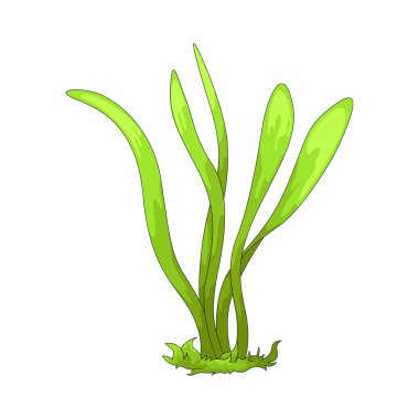 Uzun otlar büyüyen ve uzayan otları ifade eder..