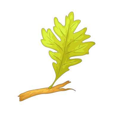 Yaprak, güneş ışığını emen ve fotosentezi destekleyen bir ağacın düz yeşil parçasıdır..