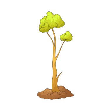 Bir fidan hala büyüyen ve gelişmekte olan genç bir ağaçtır..