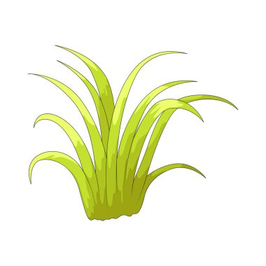 Çimen yaprağı, çimenlerin ve benzer bitkilerin tipik uzun, dar bir yaprağıdır..