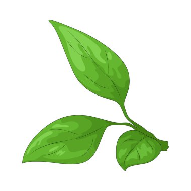 Yaprak, bir kök veya daldan büyüyen düz, ince bir bitki organıdır ve temel olarak fotosentezden sorumludur..