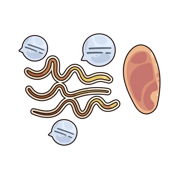 Dinlemek, konuşulan dili işiterek anlama becerisidir..
