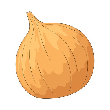 Soğan, güçlü ve lezzetli bir tadı olan katmanlı bir sebzedir..