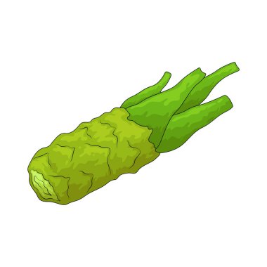 Wasabi genellikle suşiyle servis edilen baharatlı yeşil bir köktür..