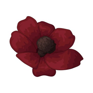 Çikolata kainatı, çikolataya benzeyen kokusuyla bilinen koyu kırmızı-kahverengi bir çiçektir..