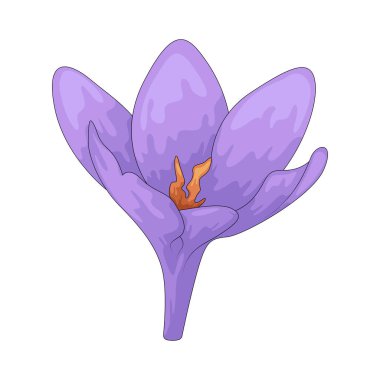 Crocus, fincanda mor, sarı veya beyaz taç yaprakları bulunan küçük bir erken bahar çiçeğidir..