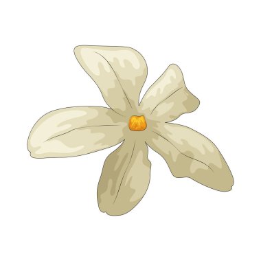 Yasemin, genellikle narin beyaz çiçeklerle ilişkilendirilen küçük, güzel kokulu bir çiçektir..