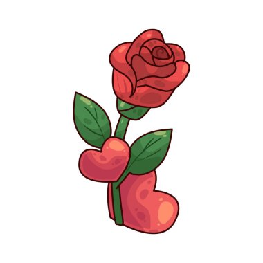 Gül genellikle romantizm, aşk ve hayranlıkla ilişkilendirilen bir çiçektir..