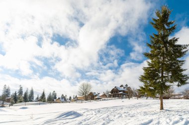 Kış manzarası. Karla kaplı bir çayırın ortasında büyük bir çam ya da çam yetiştirir. Arka planda, bir dağ köyü ya da köy ve bulutlu bir gökyüzü. Soğuk, soğuk kış günü.