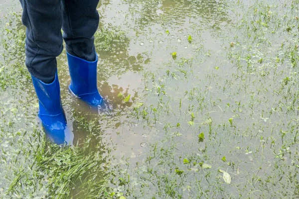 那孩子站在花园里的水里 脚踏在雨脚上 花园被水淹没了 倾盆大雨的后果 多雨的夏天或春天 图库图片