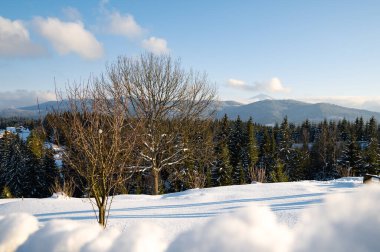 Akşam dağlarda. Gün batımı, kış günü. Beyaz kar üzerinde gölge. Arka planda mavi bir gökyüzü ve dağ tepeleri, Hoverla Dağı manzarası. 