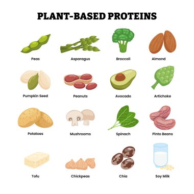 Vejetaryen yüksek protein bazlı gıda koleksiyonu, bezelye, kuşkonmaz, badem, enginar, brokoli, chia tohumları, nohut, mantar, fıstık, pinto, patates, kabak, soya sütü, tofu, ıspanak.