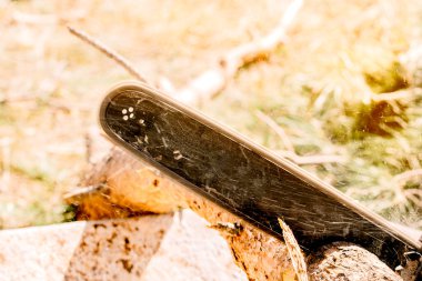 Benzinle çalışan elektrikli testereyle odun kesen biri..