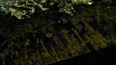 Doğal dokular, ışık yansımaları ve akışkan hareketin oluşturduğu soyut renkli dalga arkaplanı. Canlı tonlara ve yumuşak baloncuklara sahip organik desenler modern tasarım, yaratıcı düzenler, markalaşma, duvar kağıtları için ideal dinamik bir sanatsal yüzey oluşturur.,