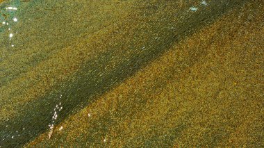 Doğal soyut renkli dalga dokusu ışık, su ve organik yüzey desenleri tarafından oluşturulmuştur. Canlı gradyanlar, kabarcıklar ve akış formları tasarım, dijital sanat, yaratıcı projeler, duvar kağıtları için uygun eşsiz bir sanatsal arkaplan oluşturur.