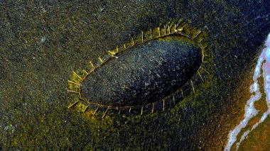 Doğal soyut renkli dalga dokusu ışık, su ve organik yüzey desenleri tarafından oluşturulmuştur. Canlı gradyanlar, kabarcıklar ve akış formları tasarım, dijital sanat, yaratıcı projeler, duvar kağıtları için uygun eşsiz bir sanatsal arkaplan oluşturur.