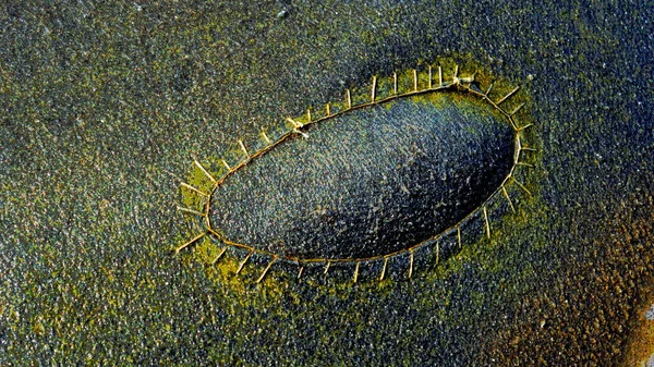 Doğal soyut renkli dalga dokusu ışık, su ve organik yüzey desenleri tarafından oluşturulmuştur. Canlı gradyanlar, kabarcıklar ve akış formları tasarım, dijital sanat, yaratıcı projeler, duvar kağıtları için uygun eşsiz bir sanatsal arkaplan oluşturur.