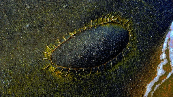 Doğal soyut renkli dalga dokusu ışık, su ve organik yüzey desenleri tarafından oluşturulmuştur. Canlı gradyanlar, kabarcıklar ve akış formları tasarım, dijital sanat, yaratıcı projeler, duvar kağıtları için uygun eşsiz bir sanatsal arkaplan oluşturur.