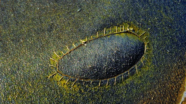 Doğal soyut renkli dalga dokusu ışık, su ve organik yüzey desenleri tarafından oluşturulmuştur. Canlı gradyanlar, kabarcıklar ve akış formları tasarım, dijital sanat, yaratıcı projeler, duvar kağıtları için uygun eşsiz bir sanatsal arkaplan oluşturur.