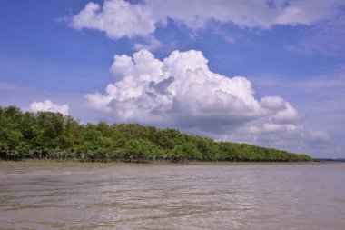 Mangrov ormanı kıyı şeridi olan tropikal bir nehrin geniş açılı görüntüsü. Büyük kümülüs bulutlarıyla parlak mavi gökyüzü Bakkhali Nehri 'nin sakin suyuna yansıyor..
