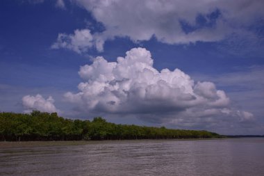 Mangrov ormanı kıyı şeridi olan tropikal bir nehrin geniş açılı görüntüsü. Büyük kümülüs bulutlarıyla parlak mavi gökyüzü Bakkhali Nehri 'nin sakin suyuna yansıyor..