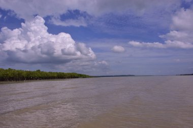Mangrov ormanı kıyı şeridi olan tropikal bir nehrin geniş açılı görüntüsü. Büyük kümülüs bulutlarıyla parlak mavi gökyüzü Bakkhali Nehri 'nin sakin suyuna yansıyor..