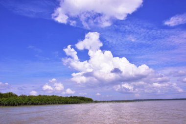 Görkemli mavi gökyüzü ve kabarık bulutları olan tropik nehir arka planı. Yaz tatilleri, ilham verici sosyal medya paylaşımları ya da mutlu yeni yıl tasarımları için mükemmel bir doğa manzarası..