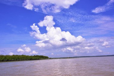 Çamurlu bir nehir ve mangrov ormanının geniş açılı arka planı dramatik bulutlu bir gökyüzü altında. Güneydoğu Asya kıyı sulak ekosisteminin güneşli bir günü manzarası.