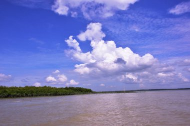 Cox 's Bazar, Bangladeş' teki Bakkhali Nehri 'nin nefes kesici manzarası. Büyük beyaz kümülüs bulutları, uzak yeşil bir mangrov orman hattı üzerinde derin mavi bir gökyüzüne yükselir ve sakin suları yansıtır..