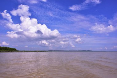Çamurlu bir nehir ve mangrov ormanının geniş açılı arka planı dramatik bulutlu bir gökyüzü altında. Güneydoğu Asya kıyı sulak ekosisteminin güneşli bir günü manzarası.