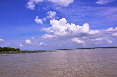 Cox 's Bazar, Bangladeş' teki Bakkhali Nehri 'nin nefes kesici manzarası. Büyük beyaz kümülüs bulutları, uzak yeşil bir mangrov orman hattı üzerinde derin mavi bir gökyüzüne yükselir ve sakin suları yansıtır..
