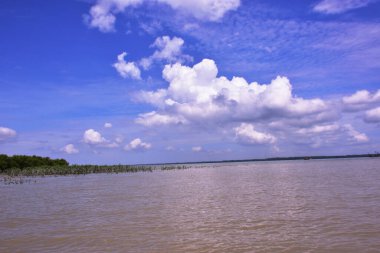 Tüylü beyaz bulutların çamurlu tropikal bir nehrin üzerinde yansıdığı parlak mavi bir gökyüzünün güzel dikey arka planı. Seyahat veya hava durumu tasarımları için mükemmel kopyalama alanı.