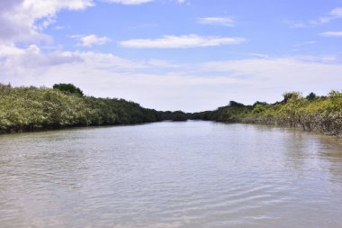 Görkemli mavi gökyüzü ve kabarık bulutları olan tropik nehir arka planı. Yaz tatilleri, ilham verici sosyal medya paylaşımları ya da mutlu yeni yıl tasarımları için mükemmel bir doğa manzarası..