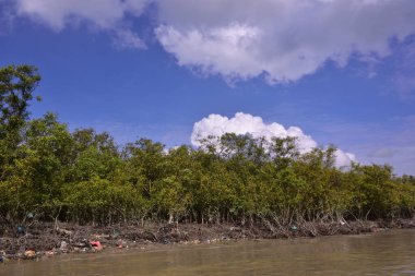 Mangrove adası sakin nehir suyuyla çevrili ve berrak gökyüzü yansımaları var. Huzurlu doğa manzarası sulak arazi ekosistemlerini ve doğal nehir akışını gösteriyor..