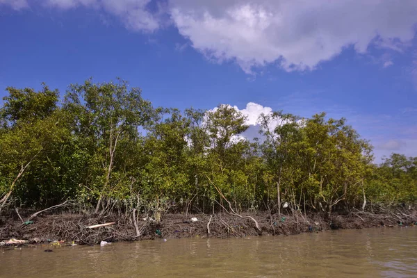 Dramatik bulutlar altında alçak bitki örtüsünü kaplayan gelgit suyuyla mangrov suları. Kıyı ekosistemlerini ve iklim etkileşimini temsil eden çevre manzarası.