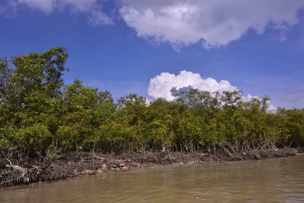 Mangrove adası sakin nehir suyuyla çevrili ve berrak gökyüzü yansımaları var. Huzurlu doğa manzarası sulak arazi ekosistemlerini ve doğal nehir akışını gösteriyor..