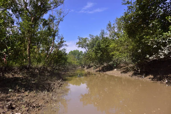 Dramatik bulutlar altında alçak bitki örtüsünü kaplayan gelgit suyuyla mangrov suları. Kıyı ekosistemlerini ve iklim etkileşimini temsil eden çevre manzarası.