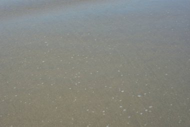 Laboni Sahili 'ndeki altın kumla çarpışan bir dalganın eşsiz çapraz perspektifi, Bangladeş' teki Cox 's Bazar turist merkezinde denizin dinamik enerjisini vurguluyor..