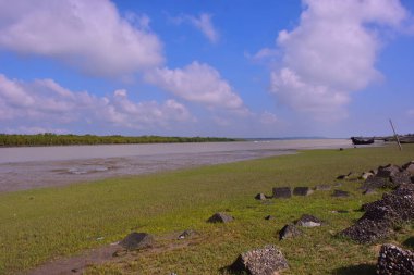 Nehir ekosistemi, sakin yüzey suları ve su altındaki tortu bölgeleriyle yüksek gelgitlerde doğal gelgit etkisini gösteriyor..