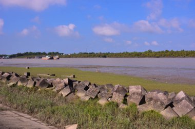 Nehir ekosistemi, sakin yüzey suları ve su altındaki tortu bölgeleriyle yüksek gelgitlerde doğal gelgit etkisini gösteriyor..