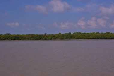 Gelgitte doğal nehir manzarası gelgit suyu hareketini ve kıyı şeridi yapısını gösteriyor..