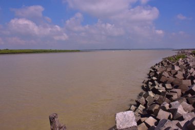 Yüksek gelgit sırasında nehir çevresi su genişlemesi ve nehir kıyılarıyla etkileşimi vurguluyor.