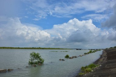 Mavi gökyüzüne karşı parlak beyaz kümülüs bulutlarının yer aldığı güzel bir sahil su yolu. Bangladeş kırsalında temiz su ve yemyeşil alan mükemmel bir yaz gününü yakalıyor..