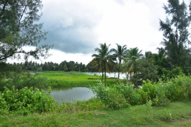 Mavi gökyüzüne karşı parlak beyaz kümülüs bulutlarının yer aldığı güzel bir sahil su yolu. Bangladeş kırsalında temiz su ve yemyeşil alan mükemmel bir yaz gününü yakalıyor..